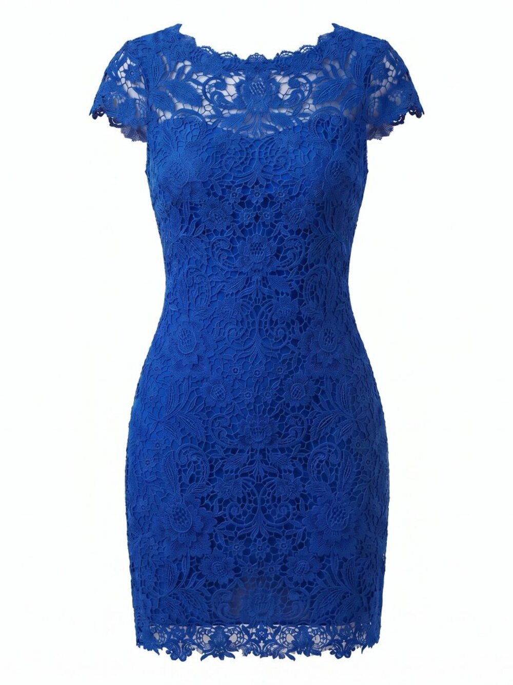 Tadashi Shoji Aranza Lace Cocktail Dress